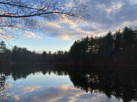 Where To Walk: The Rocky Woods