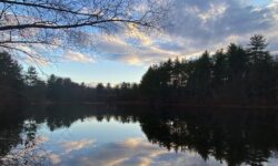 Where To Walk: The Rocky Woods