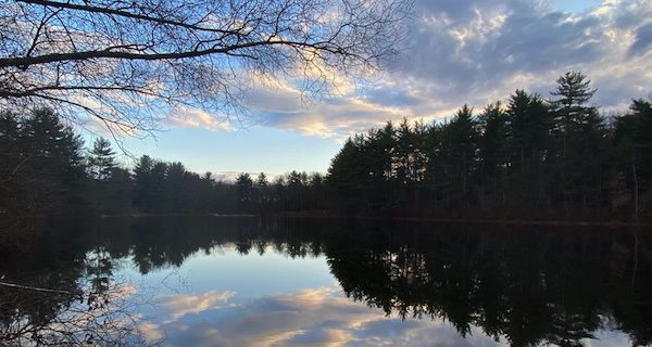 Where To Walk: The Rocky Woods