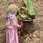 Fairies Come Back to Medfield 