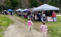 Fairies Come Back to Medfield 