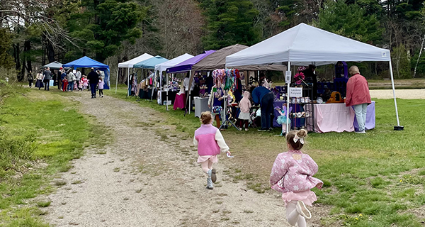 Fairies Come Back to Medfield 