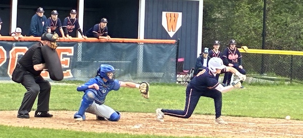Walpole takes on Wamps