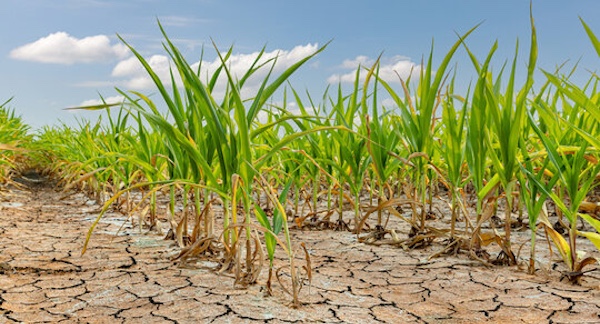 Dover’s drought status changes to Level 1