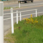 Citizens show concern over traffic ballasts
