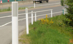Citizens show concern over traffic ballasts