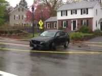 Fatal crash in Wellesley