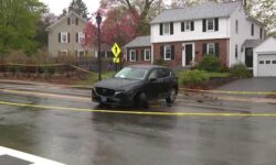 Fatal crash in Wellesley