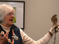 Art Along the Shore gallery opening