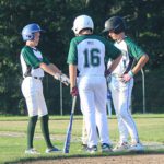 14U baseball makes final four