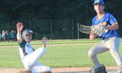 14U baseball makes final four