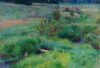 Medfield’s Monet