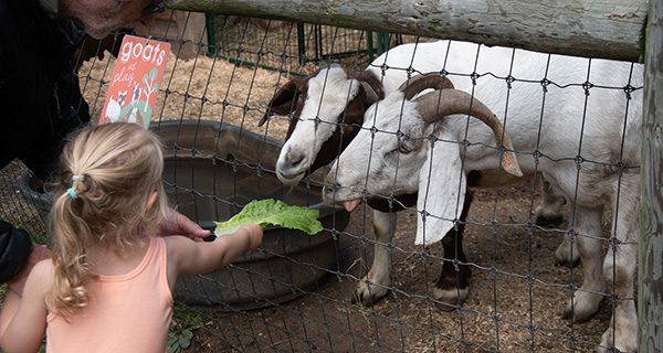 Unity Farms hosts Kindness Tour