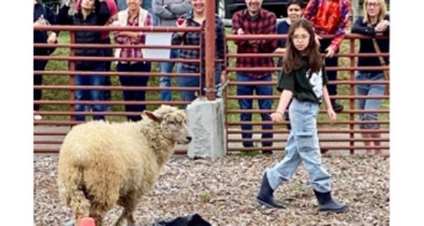 4H Club hosts Animal Show