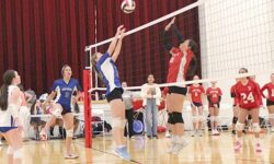 Volleyball at DSHS